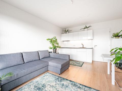 Pronájem bytu 2+kk, Tuchoměřice, V Kněžívce, 60 m2