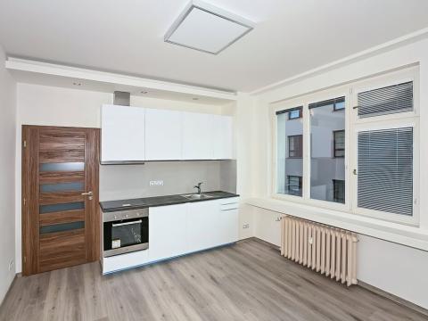 Pronájem bytu 1+kk, Praha - Karlín, Thámova, 22 m2