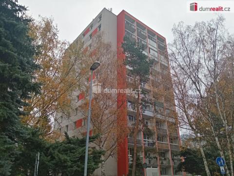 Pronájem bytu 2+1, Děčín - Děčín III-Staré Město, Jezdecká, 57 m2