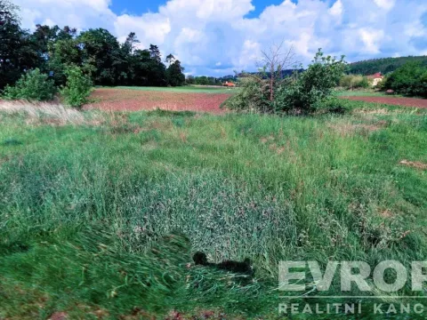 Prodej pozemku pro bydlení, Týnec nad Sázavou, 2475 m2