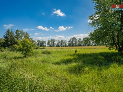 Prodej pozemku pro bydlení, Loucká, 1342 m2