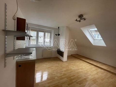 Pronájem bytu 1+kk, Praha - Podolí, Nedvědovo náměstí, 24 m2