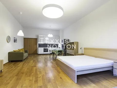 Pronájem bytu 1+kk, Praha - Bubeneč, Mlýnská, 53 m2