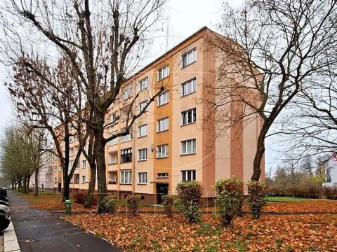 Pronájem bytu 2+1, Ostrov, Kollárova, 57 m2