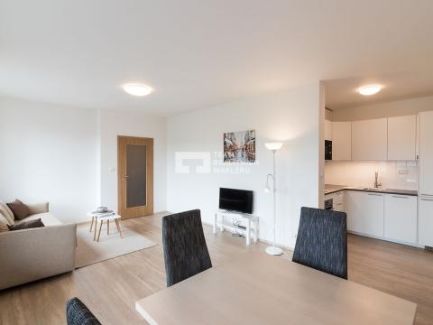 Pronájem bytu 2+kk, Praha - Dolní Měcholupy, Kryšpínova, 62 m2