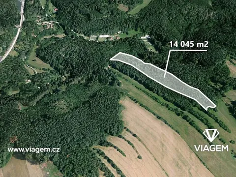 Prodej podílu lesa, Kuřimská Nová Ves, 3121 m2