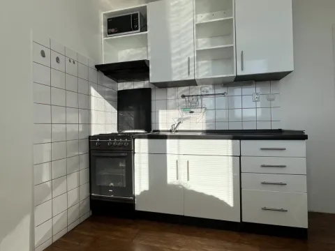 Pronájem bytu 1+1, Ostrava - Moravská Ostrava, Josefa Brabce, 41 m2