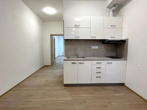 Pronájem bytu 2+kk, Brno, Cihlářská, 43 m2