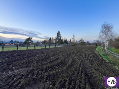 Prodej pozemku pro bydlení, Brázdim - Veliký Brázdim, 1371 m2