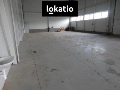 Pronájem skladu, Pardubice, 435 m2