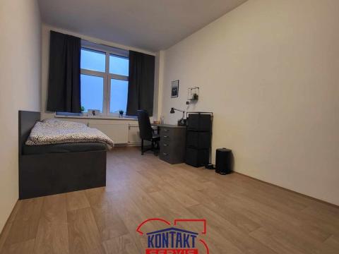 Pronájem bytu 1+kk, České Budějovice, U Smaltovny, 18 m2