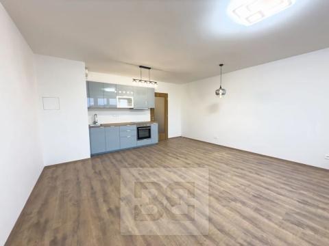 Pronájem bytu 1+kk, Liberec, Švermova, 37 m2