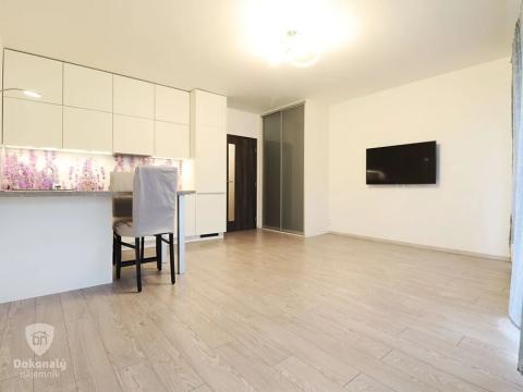 Pronájem bytu 1+kk, Praha - Dejvice, Lindleyova, 34 m2