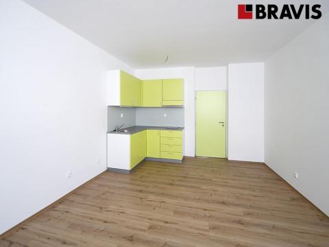 Pronájem bytu 1+kk, Brno, Rybářská, 32 m2