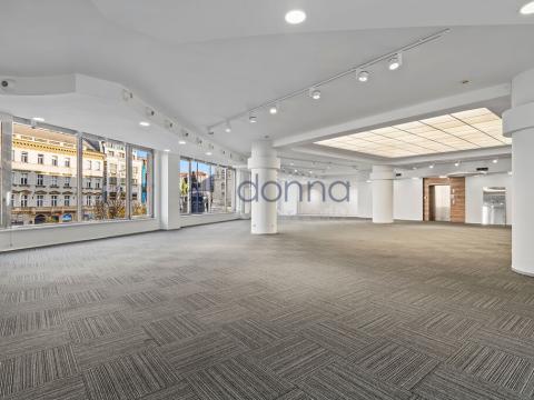 Pronájem obchodního prostoru, Praha - Nové Město, Václavské náměstí, 475 m2