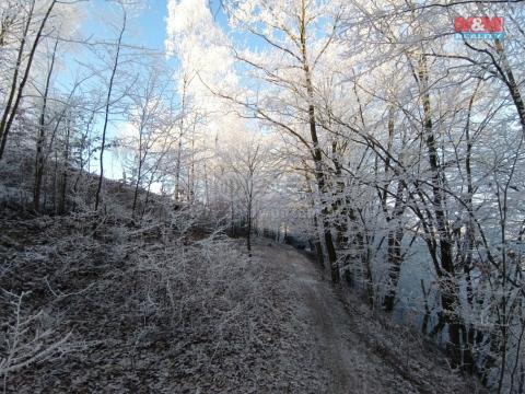 Prodej zahrady, Rychnov nad Kněžnou, 2141 m2