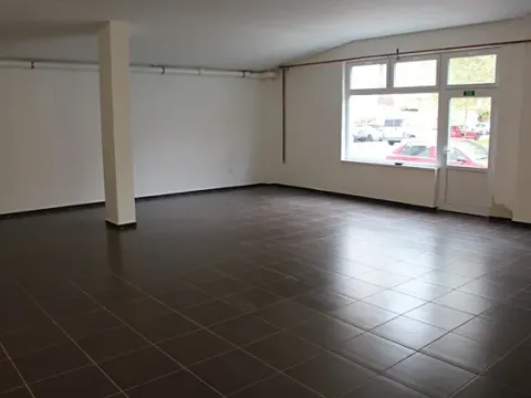 Pronájem obchodního prostoru, Prostějov, Wolkerova, 210 m2