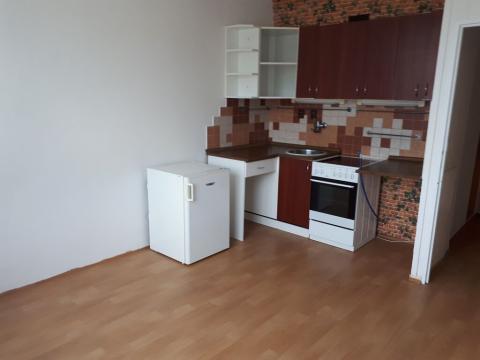 Pronájem bytu 1+kk, Děčín, Kamenická, 20 m2