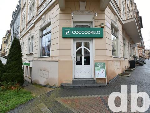 Prodej obchodního prostoru, Karlovy Vary, Moskevská, 60 m2