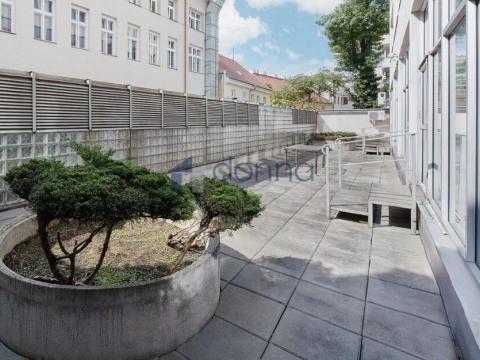 Pronájem obchodního prostoru, Praha - Nové Město, Krakovská, 500 m2