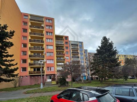 Prodej bytu 4+1, Plzeň, Elišky Krásnohorské, 88 m2