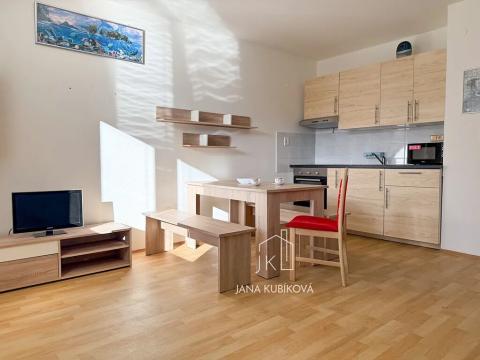 Pronájem bytu 1+kk, Vacenovice, 32 m2