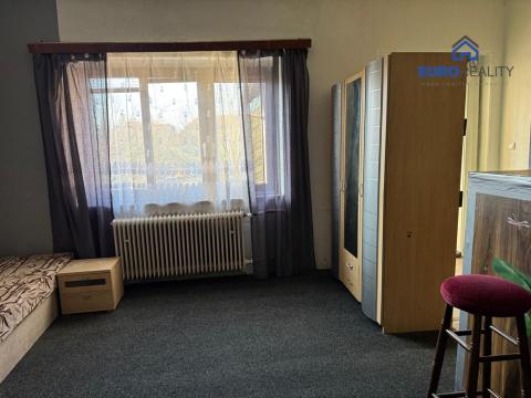 Pronájem bytu 1+kk, Chodová Planá, Výškovská, 30 m2