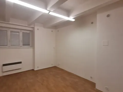 Pronájem komerční nemovitosti, Praha - Holešovice, Přístavní, 46 m2