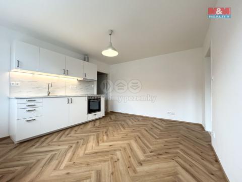 Pronájem bytu 2+kk, Ostrov, Lidická, 41 m2