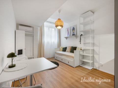 Pronájem bytu 1+kk, Praha - Braník, Branická, 27 m2