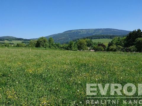 Prodej pozemku pro bydlení, Černý Důl, 1200 m2