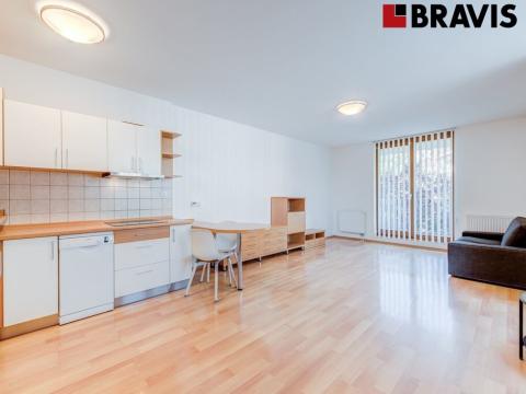 Pronájem bytu 1+kk, Brno, Vídeňská, 48 m2