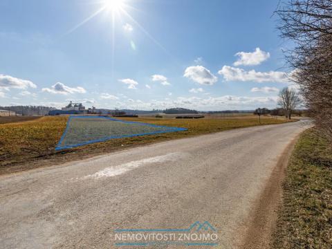 Prodej pozemku pro bydlení, Ctidružice, 2600 m2