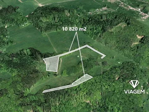 Prodej podílu lesa, Veselé, 5410 m2