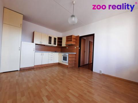 Prodej bytu 2+kk, České Budějovice, Netolická, 41 m2