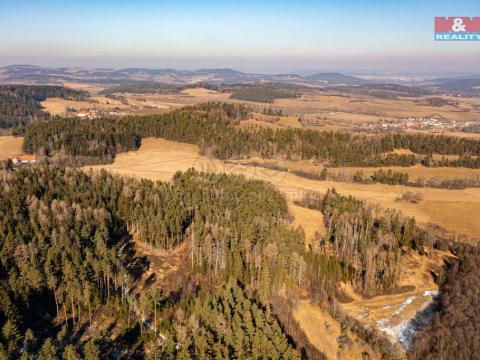 Prodej lesa, Čkyně - Onšovice, 12762 m2