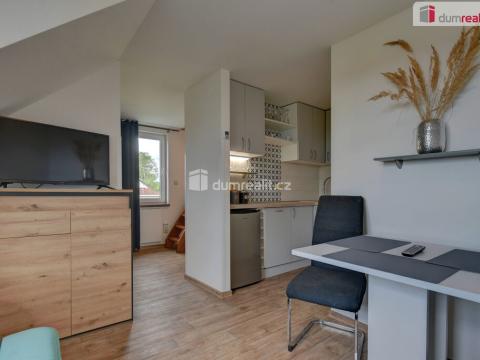 Prodej bytu 1+1, Abertamy, Blatenská, 33 m2