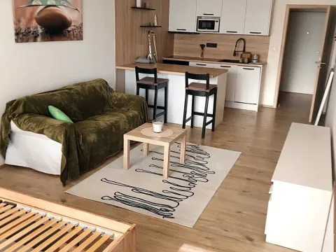 Pronájem bytu 1+kk, Kroměříž, Obvodová, 45 m2