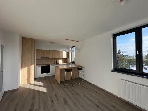 Pronájem bytu 2+kk, Praha - Žižkov, Olgy Havlové, 52 m2