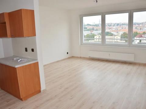 Pronájem bytu 1+kk, Praha - Nusle, Družstevní, 47 m2