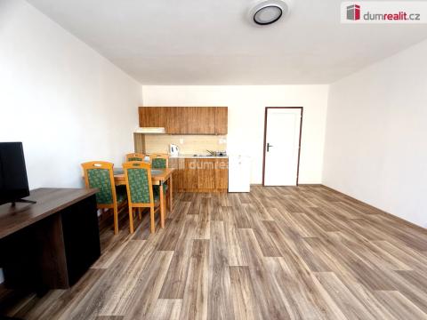 Pronájem bytu 1+kk, Ústí nad Labem - Krásné Březno, Neštěmická, 32 m2