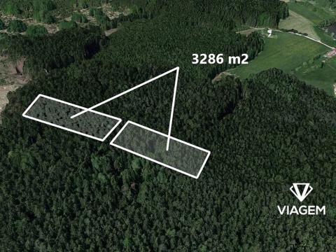 Prodej lesa, Nová Ves u Leštiny, 3286 m2