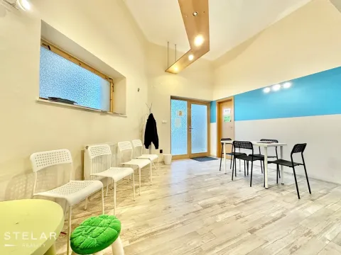 Pronájem ordinace, Opava - Město, Nákladní, 103 m2