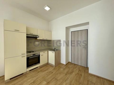 Pronájem bytu 1+kk, Brno, Bratislavská, 32 m2