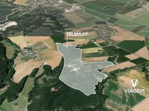 Prodej podílu lesa, Palonín, 81432 m2