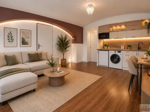 Prodej bytu 2+kk, Praha - Karlín, Březinova, 50 m2