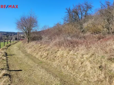 Prodej lesa, Běštín, 21632 m2