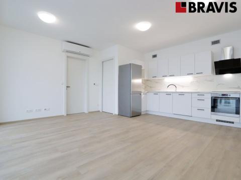 Pronájem bytu 2+kk, Brno - Staré Brno, Nové sady, 71 m2