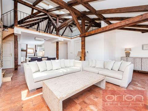 Pronájem bytu 4+kk, Praha - Vinohrady, Ibsenova, 220 m2