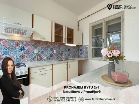 Pronájem bytu 2+1, Prostějov, Netušilova, 80 m2